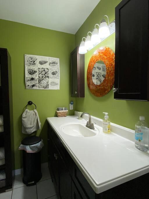 One Bed Suite Near Beaches And Downtown Sarasota Ngoại thất bức ảnh