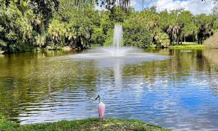 One Bed Suite Near Beaches And Downtown Sarasota Ngoại thất bức ảnh